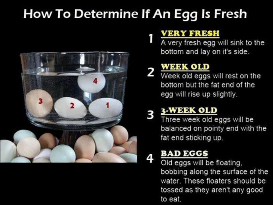 Want to know how fresh your eggs are?